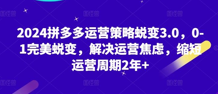 2024拼多多运营策略蜕变3.0，0-1完美蜕变，解决运营焦虑，缩短运营周期2年+-蓝天项目网