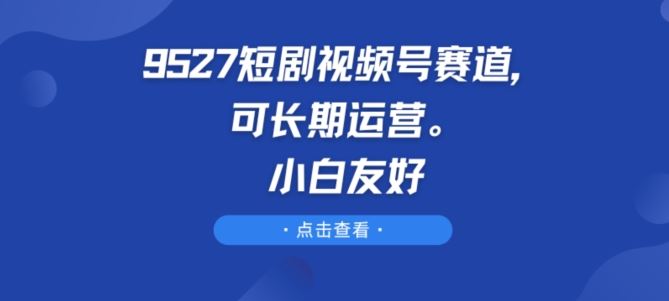 9527短剧视频号赛道，可长期运营，小白友好【揭秘】-蓝天项目网