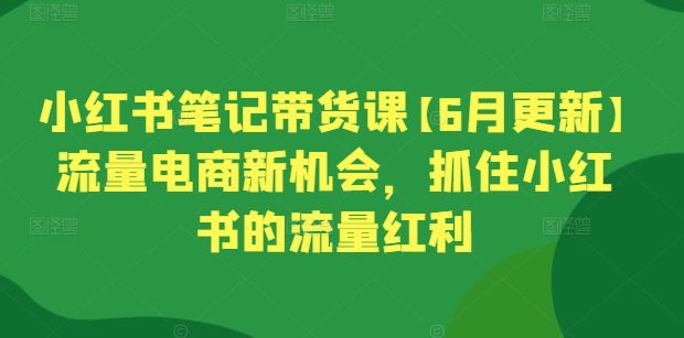 小红书笔记带货课【6月更新】流量电商新机会，抓住小红书的流量红利-蓝天项目网