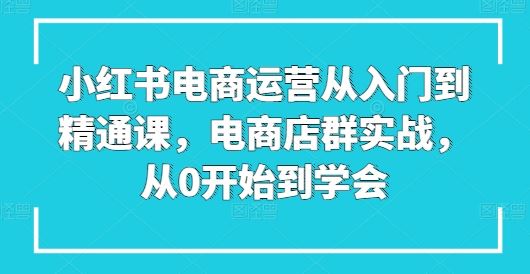 小红书电商运营从入门到精通课，电商店群实战，从0开始到学会-蓝天项目网