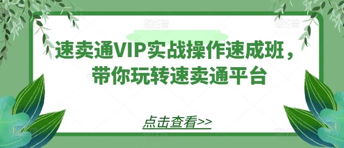 速卖通VIP实战操作速成班，带你玩转速卖通平台-蓝天项目网