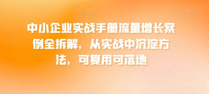 中小企业实战手册流量增长案例全拆解，从实战中沉淀方法，可复用可落地-蓝天项目网