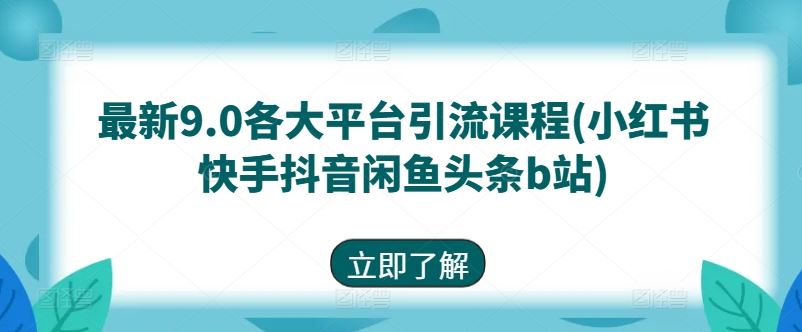 最新9.0各大平台引流课程(小红书快手抖音闲鱼头条b站)-蓝天项目网