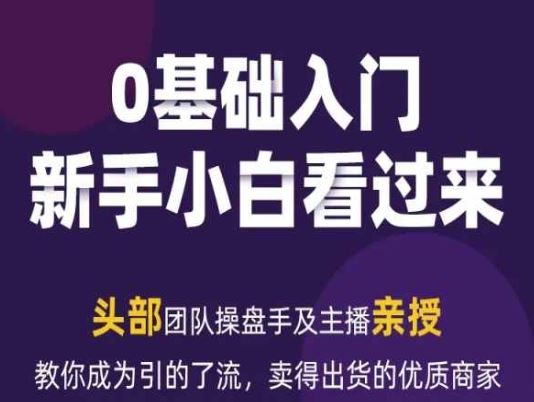 2024年新媒体流量变现运营笔记，教你成为引的了流，卖得出货的优质商家-蓝天项目网