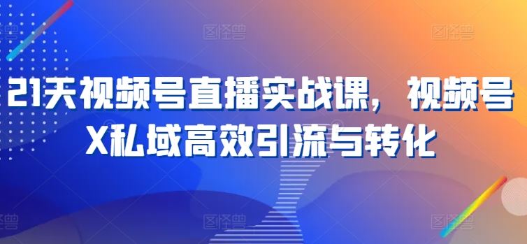 21天视频号直播实战课，视频号X私域高效引流与转化-蓝天项目网