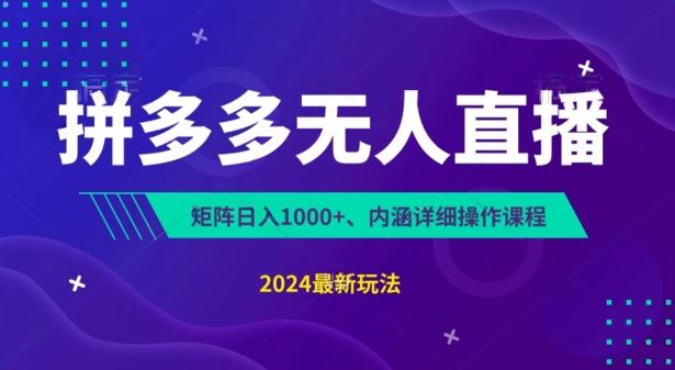 拼多多无人直播不封号，0投入，3天必起，无脑挂机，日入1k+【揭秘】-蓝天项目网