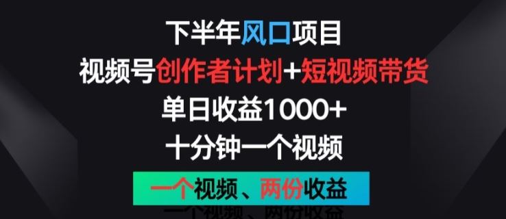 下半年风口项目，视频号创作者计划+视频带货，一个视频两份收益，十分钟一个视频【揭秘】-蓝天项目网