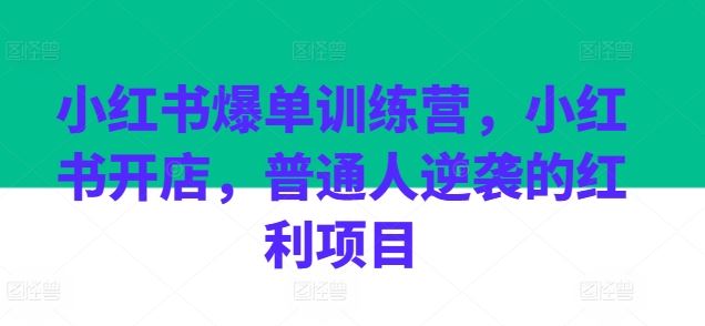 小红书爆单训练营，小红书开店，普通人逆袭的红利项目-蓝天项目网