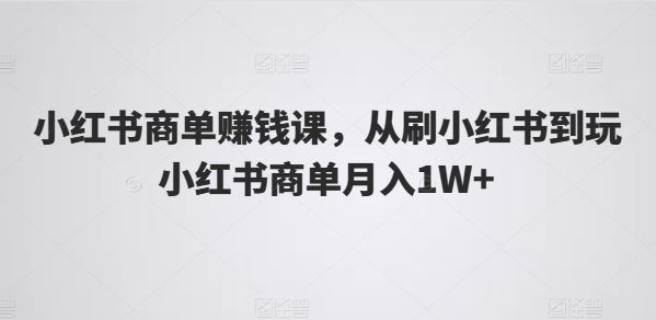 小红书商单赚钱课，从刷小红书到玩小红书商单月入1W+-蓝天项目网