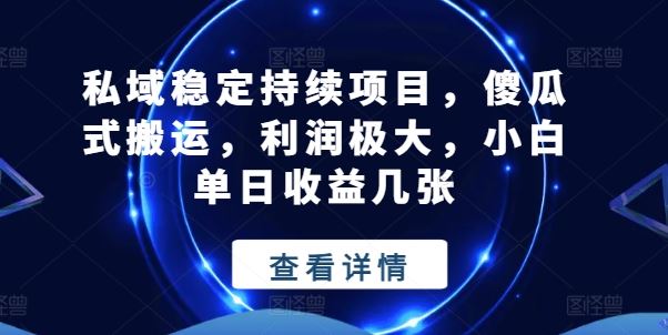 私域稳定持续项目，傻瓜式搬运，利润极大，小白单日收益几张【揭秘】-蓝天项目网