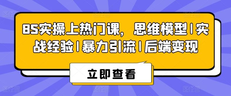 8S实操上热门课，思维模型|实战经验|暴力引流|后端变现-蓝天项目网