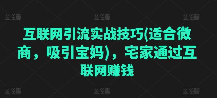 互联网引流实战技巧(适合微商，吸引宝妈)，宅家通过互联网赚钱-蓝天项目网