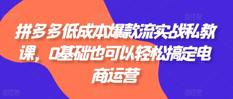 拼多多低成本爆款流实战私教课，0基础也可以轻松搞定电商运营-蓝天项目网