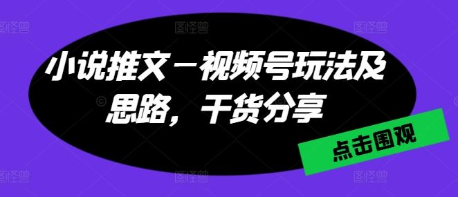 小说推文—视频号玩法及思路，干货分享-蓝天项目网