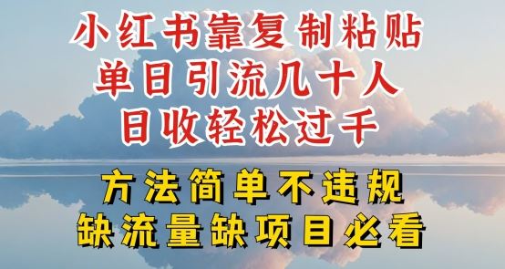 小红书靠复制粘贴单日引流几十人目收轻松过千，方法简单不违规【揭秘】-蓝天项目网