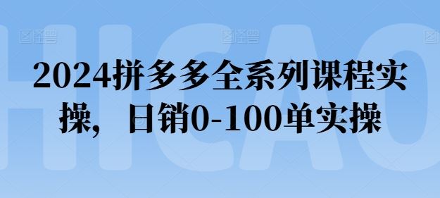 2024拼多多全系列课程实操，日销0-100单实操【必看】-蓝天项目网