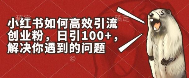 小红书如何高效引流创业粉，日引100+，解决你遇到的问题【揭秘】-蓝天项目网