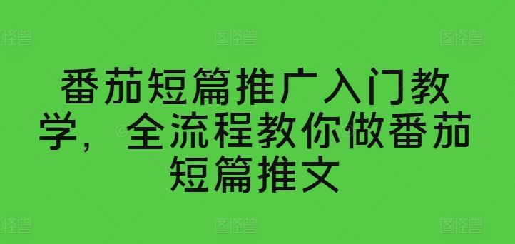 番茄短篇推广入门教学，全流程教你做番茄短篇推文-蓝天项目网