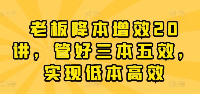 老板降本增效20讲，管好三本五效，实现低本高效-蓝天项目网