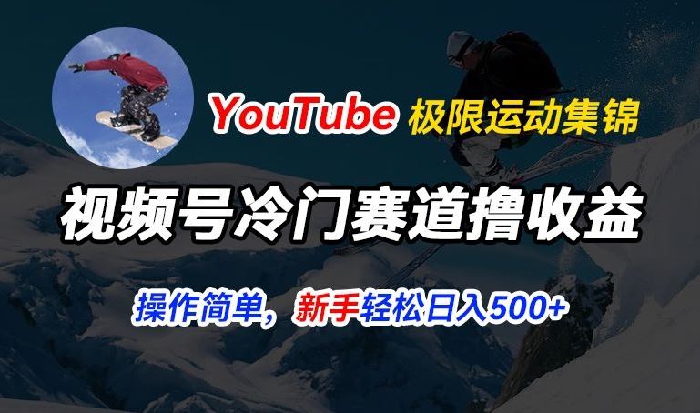 视频号冷门赛道撸收益，YouTube搬运极限运动集锦，暴力起号，操作简单流量高，轻松日入5张【揭秘】-蓝天项目网