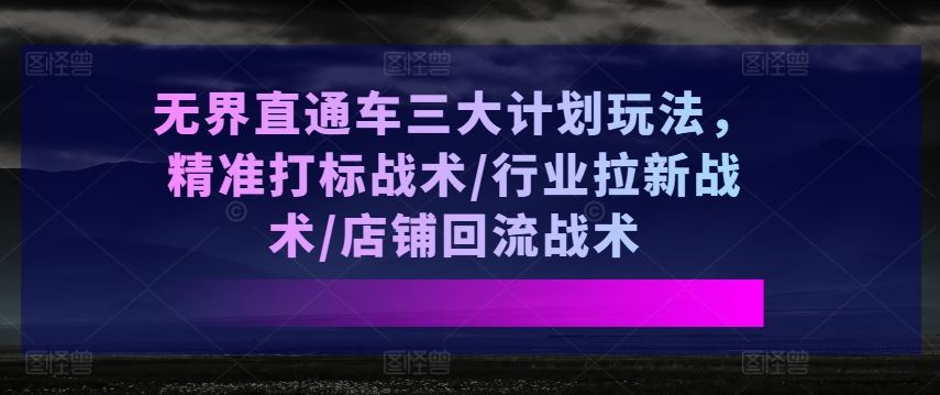 无界直通车三大计划玩法，精准打标战术/行业拉新战术/店铺回流战术-蓝天项目网