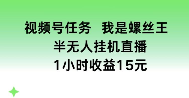 视频号任务，我是螺丝王， 半无人挂机1小时收益15元【揭秘】-蓝天项目网