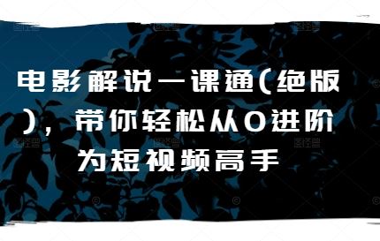 电影解说一课通(绝版)，带你轻松从0进阶为短视频高手-蓝天项目网