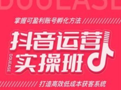 抖音运营实操班，掌握可盈利账号孵化方法，打造高效低成本获客系统-蓝天项目网