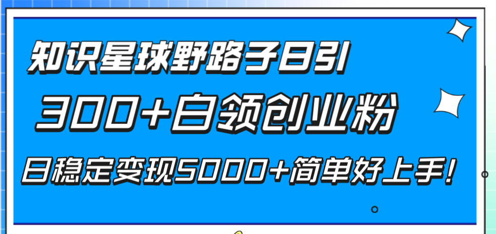 （8315期）知识星球野路子日引300+白领创业粉，日稳定变现5000+简单好上手！-蓝天项目网