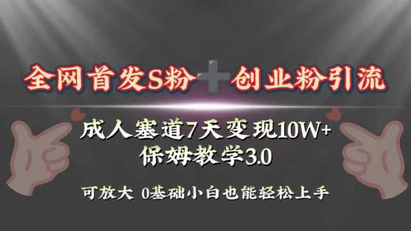 （8337期）全网首发s粉加创业粉引流变现，成人用品赛道7天变现10w+保姆教学3.0-蓝天项目网