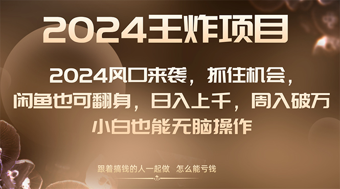 （8401期）2024风口项目来袭，抓住机会，闲鱼也可翻身，日入上千，周入破万，小白…-蓝天项目网