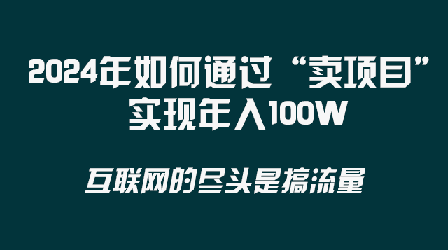 （8382期） 2024年如何通过“卖项目”实现年入100W-蓝天项目网