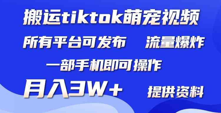 （9618期）搬运Tiktok萌宠类视频，一部手机即可。所有短视频平台均可操作，月入3W+-蓝天项目网