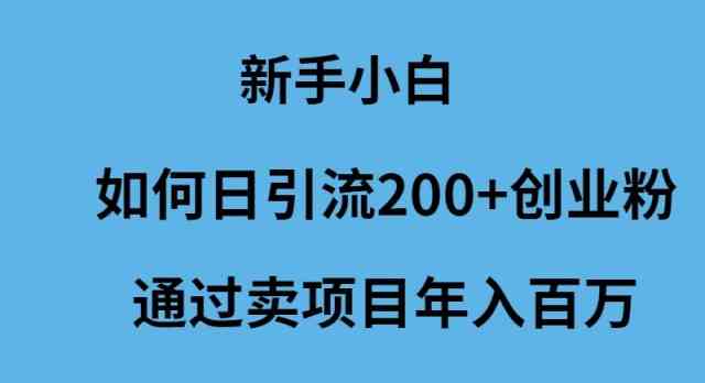 （9668期）新手小白如何日引流200+创业粉通过卖项目年入百万-蓝天项目网