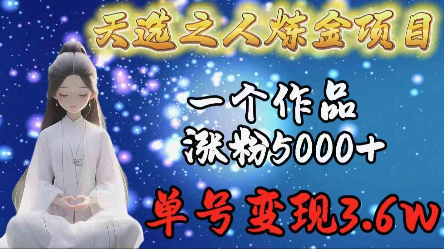 （9693期）天选之人炼金项目，一个作品涨粉5000+，单号变现3.6w-蓝天项目网