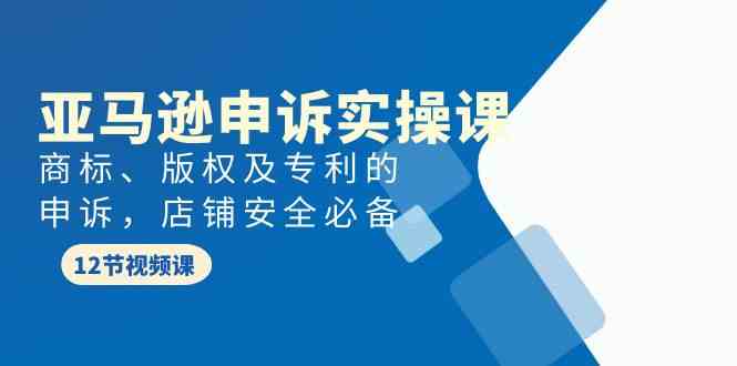 （9754期）亚马逊-申诉实战课，​商标、版权及专利的申诉，店铺安全必备-蓝天项目网