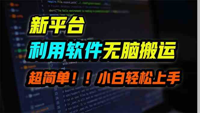 （9745期）新平台用软件无脑搬运，月赚10000+，小白也能轻松上手-蓝天项目网