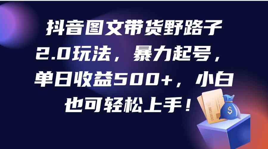 （9790期）抖音图文带货野路子2.0玩法，暴力起号，单日收益500+，小白也可轻松上手！-蓝天项目网