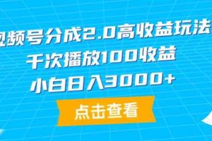 （9716期）视频号分成2.0高收益玩法，千次播放100收益，小白日入3000+-蓝天项目网