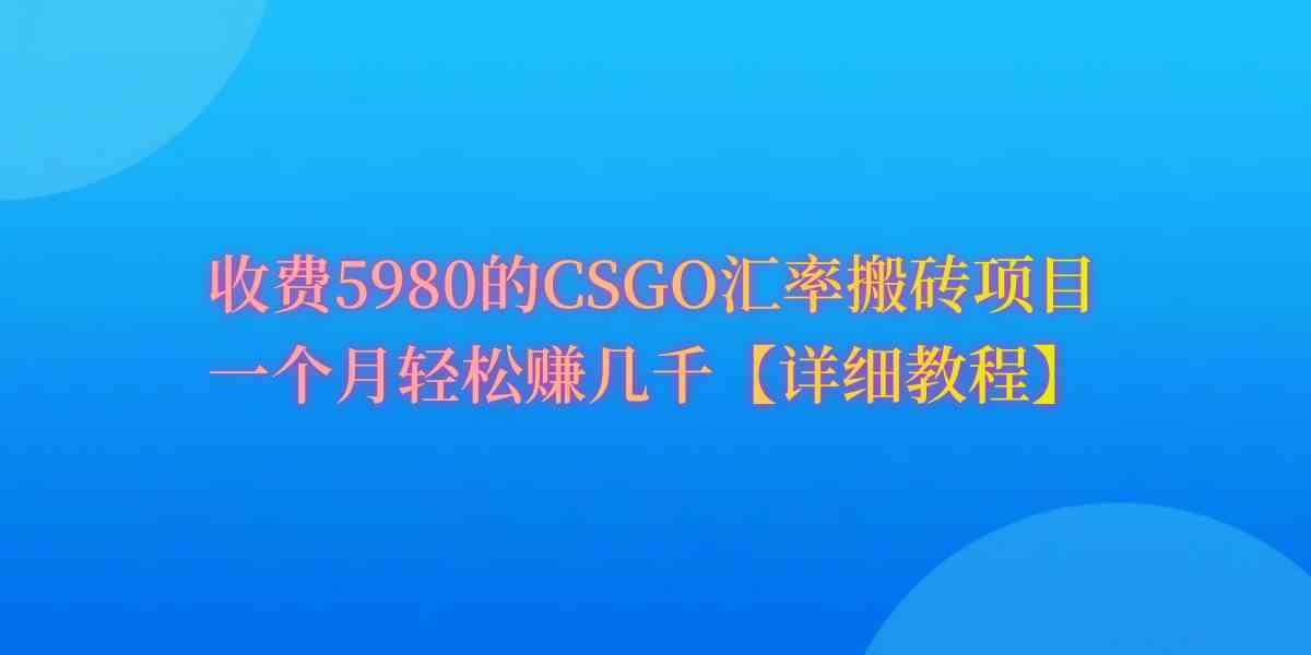 （9776期）CSGO装备搬砖，月综合收益率高达60%，你也可以！-蓝天项目网