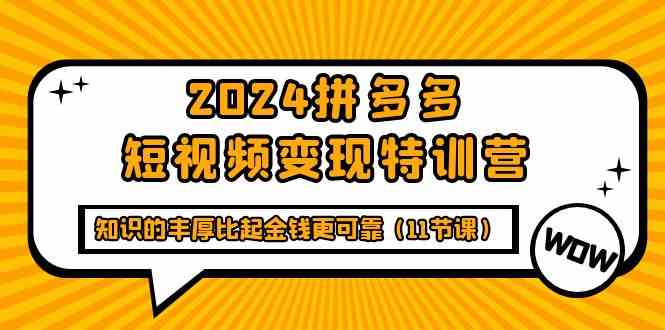 （9817期）2024拼多多短视频变现特训营，知识的丰厚比起金钱更可靠（11节课）-蓝天项目网