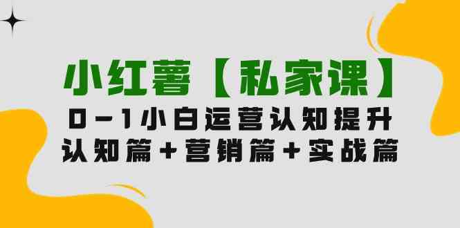 （9910期）小红薯【私家课】0-1玩赚小红书内容营销，认知篇+营销篇+实战篇（11节课）-蓝天项目网