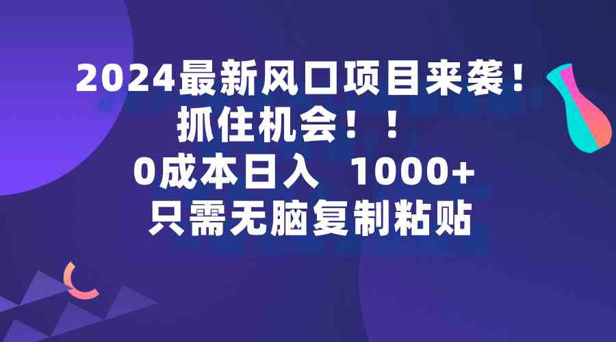 （9899期）2024最新风口项目来袭，抓住机会，0成本一部手机日入1000+，只需无脑复…-蓝天项目网