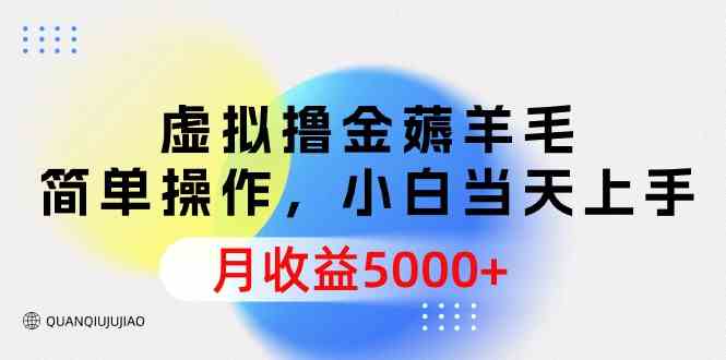 （9864期）虚拟撸金薅羊毛，简单操作，小白当天上手，月收益5000+-蓝天项目网