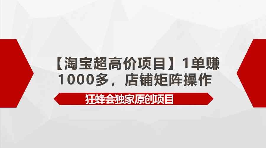 （9849期）【淘宝超高价项目】1单赚1000多，店铺矩阵操作-蓝天项目网