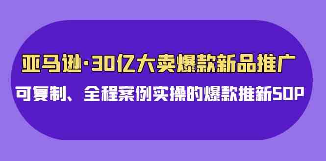 （9944期）亚马逊30亿·大卖爆款新品推广，可复制、全程案例实操的爆款推新SOP-蓝天项目网