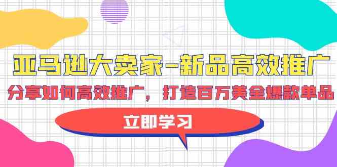 （9945期）亚马逊 大卖家-新品高效推广，分享如何高效推广，打造百万美金爆款单品-蓝天项目网