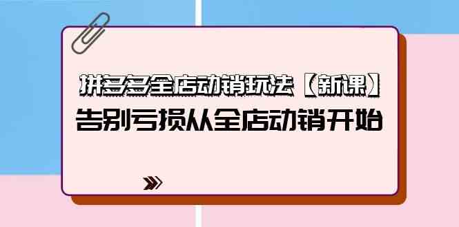 （9974期）拼多多全店动销玩法【新课】，告别亏损从全店动销开始（4节视频课）-蓝天项目网