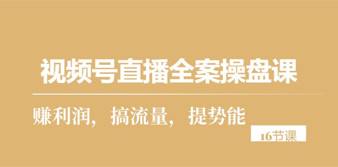 （10207期）视频号直播全案操盘课，赚利润，搞流量，提势能（16节课）-蓝天项目网