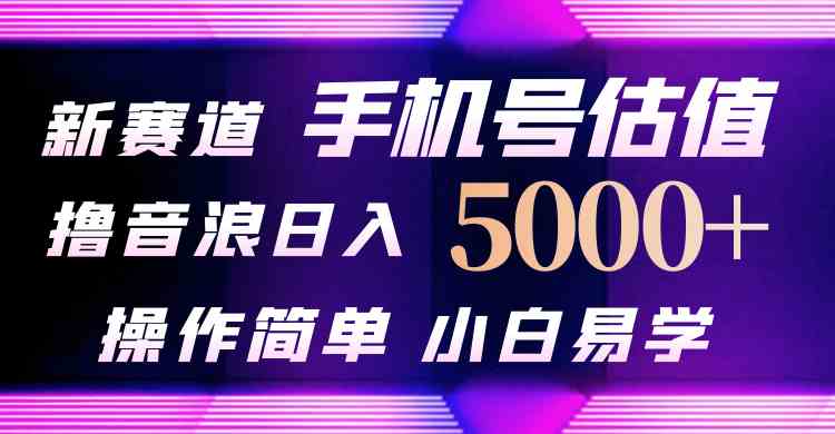 （10154期）抖音不出境直播【手机号估值】最新撸音浪，日入5000+，简单易学，适合…-蓝天项目网